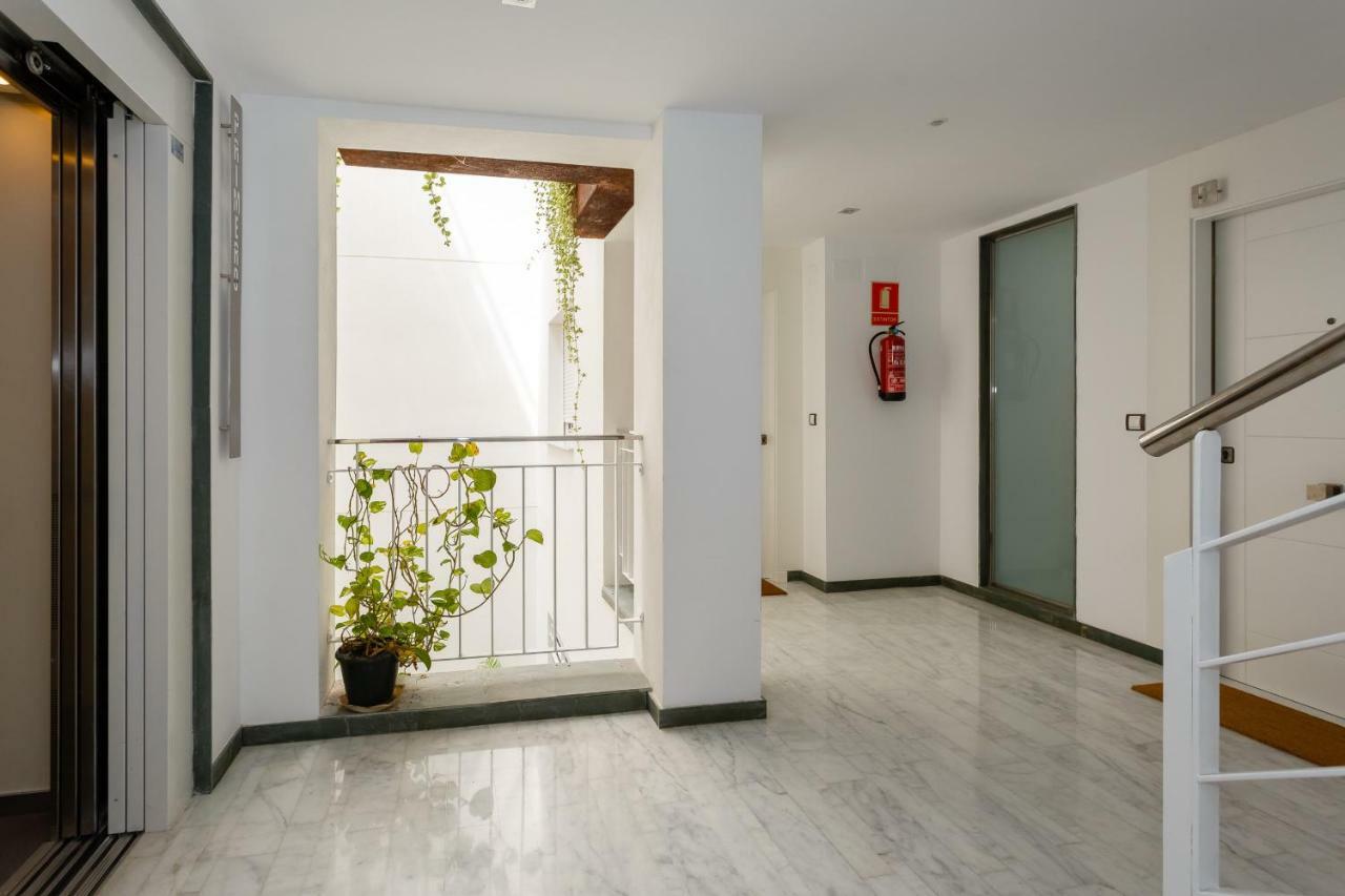 La Sorpresa Del Genoves By Cadiz4rentals *